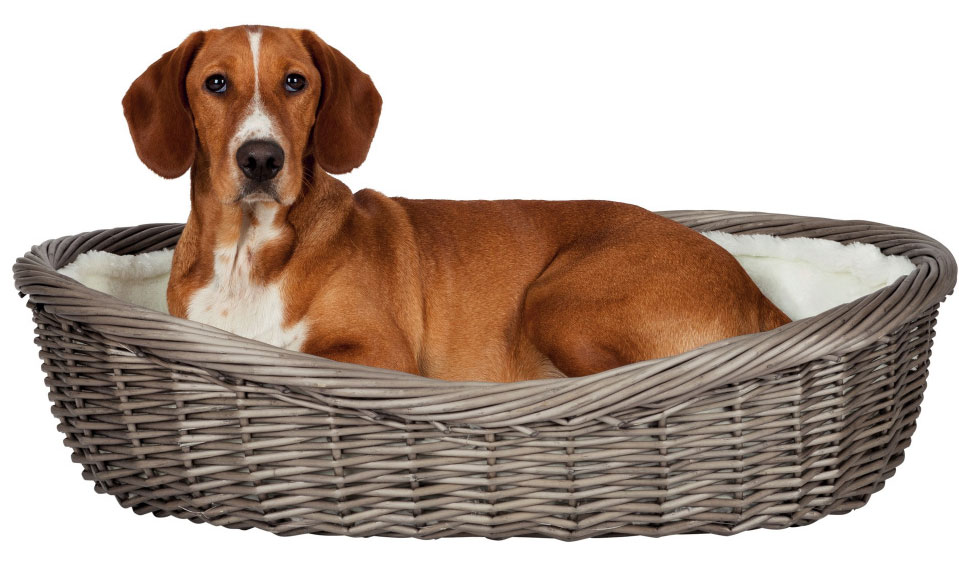 Korpa za spavanje za pse  70cm - sa jastukom - Trixie 28203 - detalj