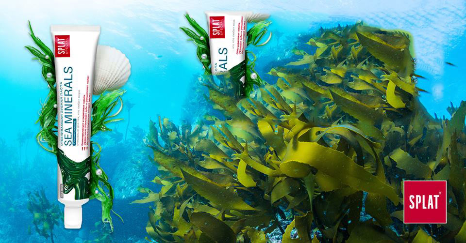 Splat zubna pasta Sea minerals 75 ml - detalj