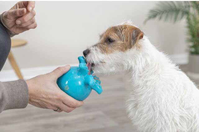 Trixie Posuda za poslastice za pse i igračka Oktopod 34933 - detalj