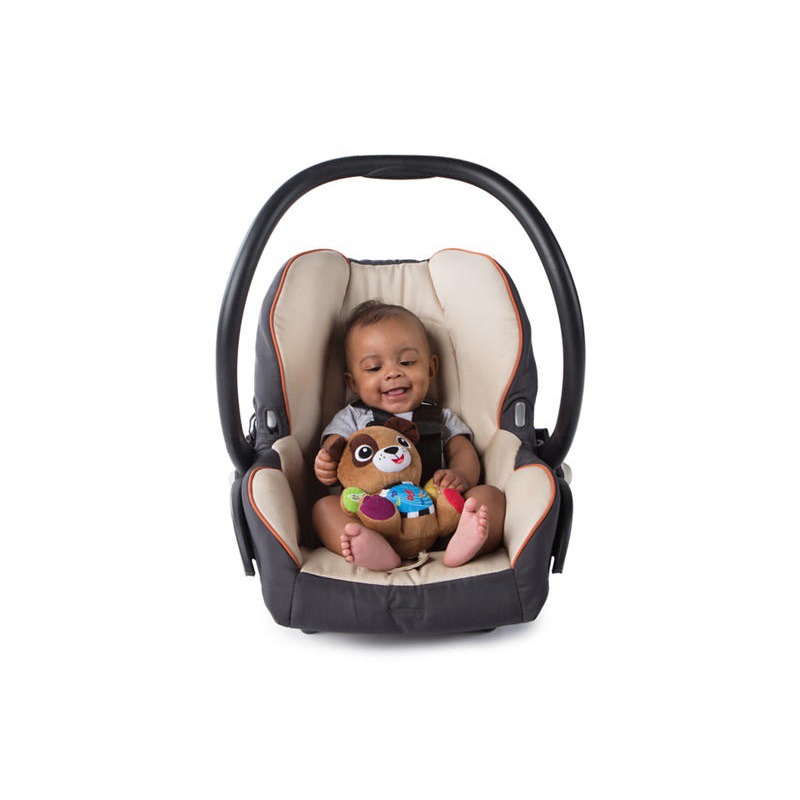 KIDS II Baby Einstein Igračka KUČE MUZIČAR Press & Play Pals - Dog - detalj