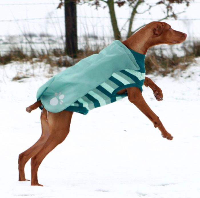 Trixie Džemper za pse Burnaby 35cm 67742 - detalj