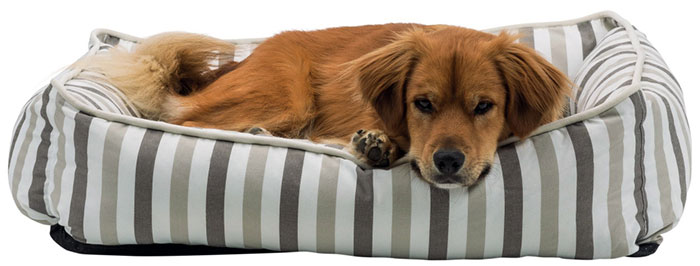 Trixie Ležaljka za pse ili mačke Kimbo 38203 - detalj