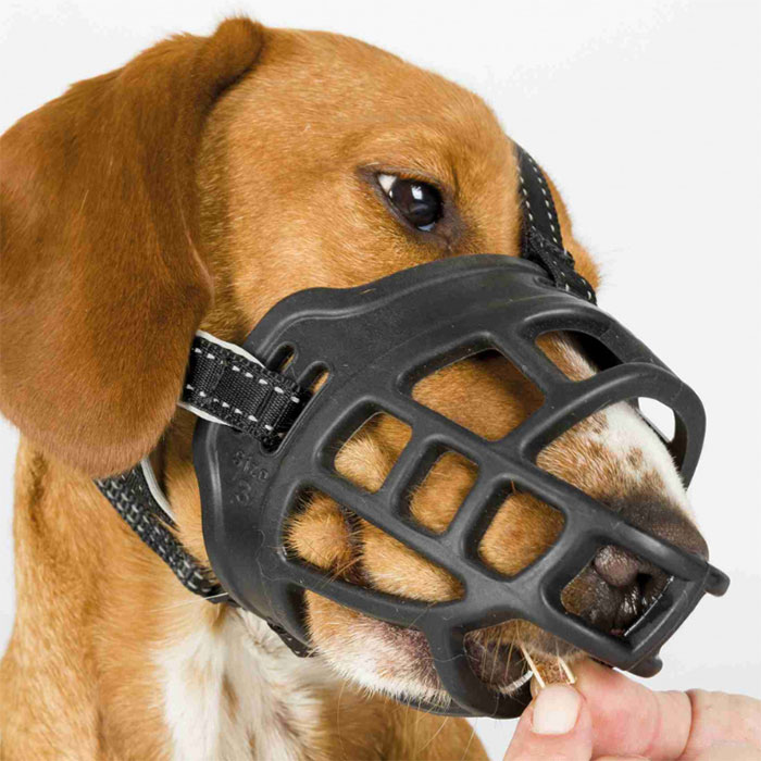 Silikonska korpa za njušku veličina XL Flex Trixie 17616 - detalj