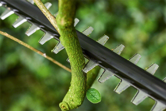 Bosch Akumulatorske makaze za živu ogradu UniversalHedgePole 18 06008B3000 - detalj