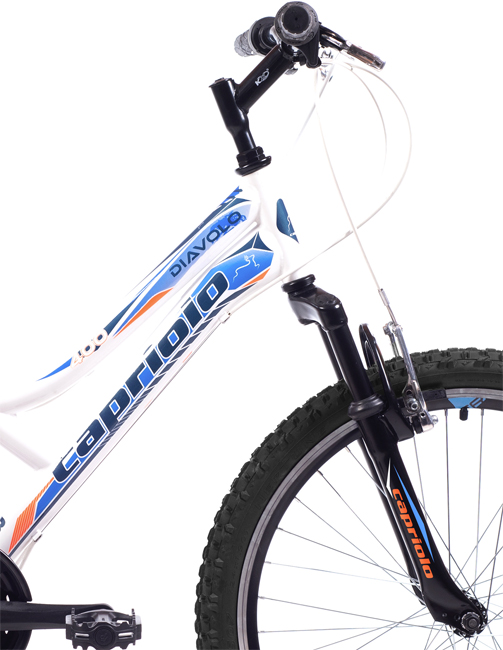 Dečiji bicikl Capriolo Diavolo 400 FS 919308-13 - detalj