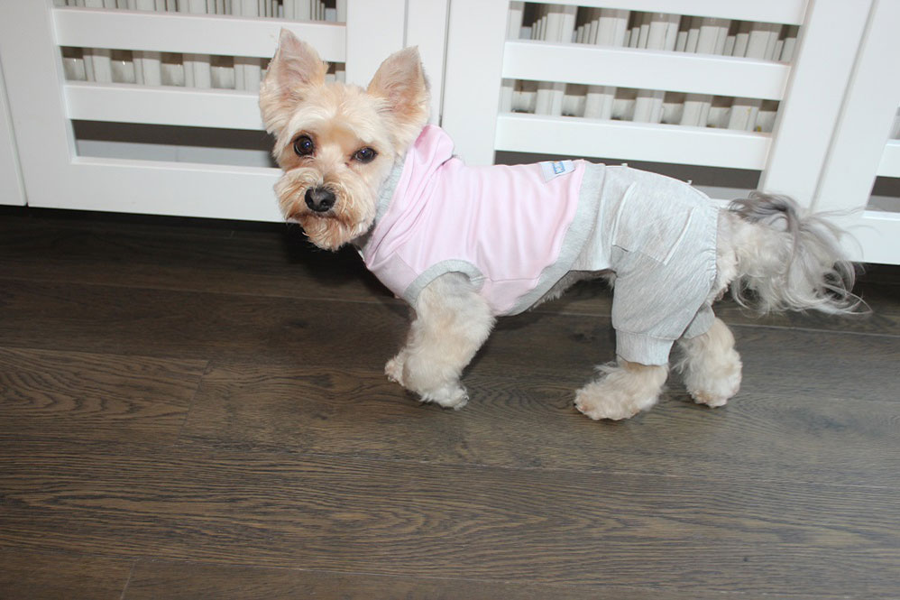 NunaNai pets odelce za pse roze S/M - detalj