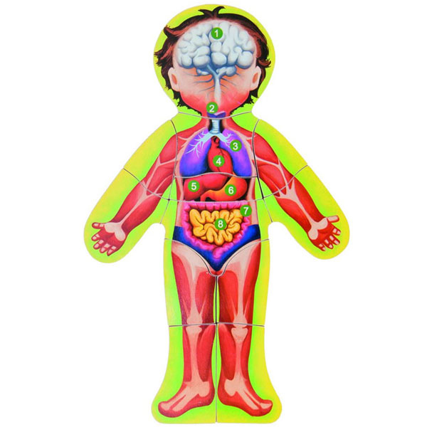 WOODY Slagalica LJUDSKO TELO - Puzzle Human Body 90332 - Engleska verzija - detalj