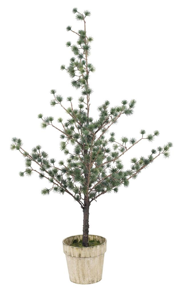 Jelka Visine 115 cm, u Saksiji  - detalj