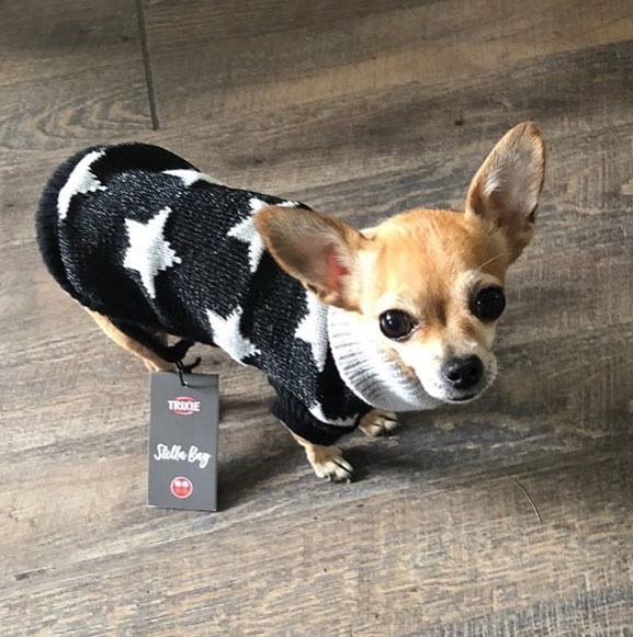 Džemper za psa Stella Bay leđa 36cm Trixie 67434 - detalj