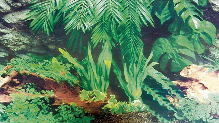 Pozadina za terarijum dupla 150x60cm Trixie 76321 - detalj