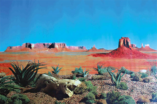 Pozadina za terarijum dupla 150x60cm Trixie 76320 - detalj