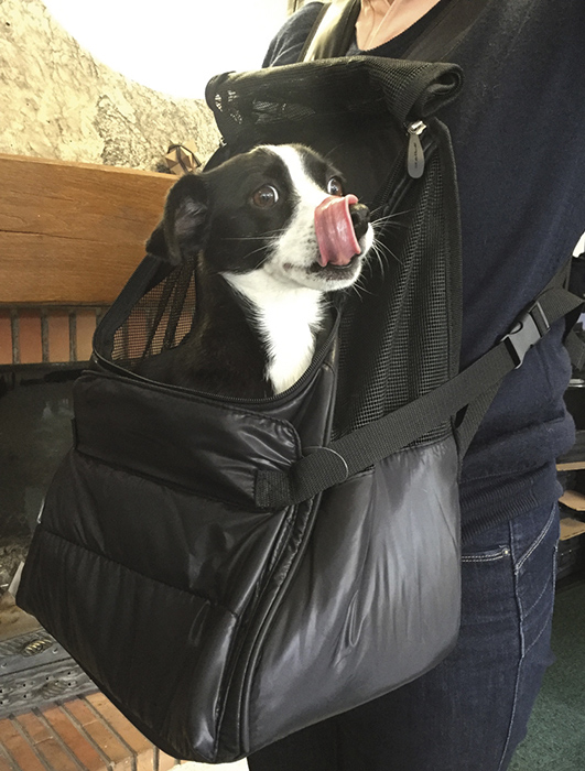 Nobby Ranac za ljubimca Malta 68277 - detalj