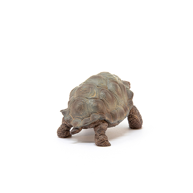 SCHLEICH Figurice Divlje životinje - Džinovska kornjača 14824 - detalj