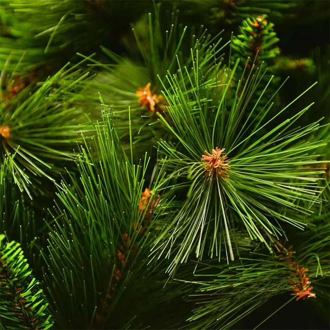 Novogodišnja jelka sa 2D i 3D iglicama Sierra 240cm - detalj