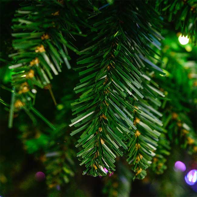 Novogodišnja jelka Nordmann Supreme 210cm - detalj