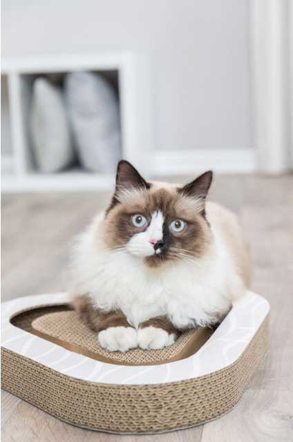 Trixie Igračka za mačke Grebalica sa lopticama i macinom travom 48009 - detalj