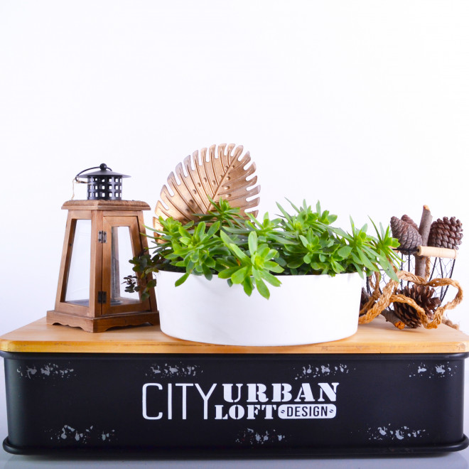 Zen plitka saksija 27cm bela - detalj