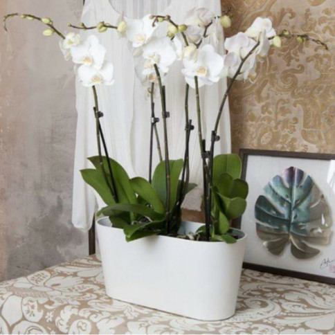 Žardinjera sa sistemom za samozalivanje Pearl 40cm bela - detalj