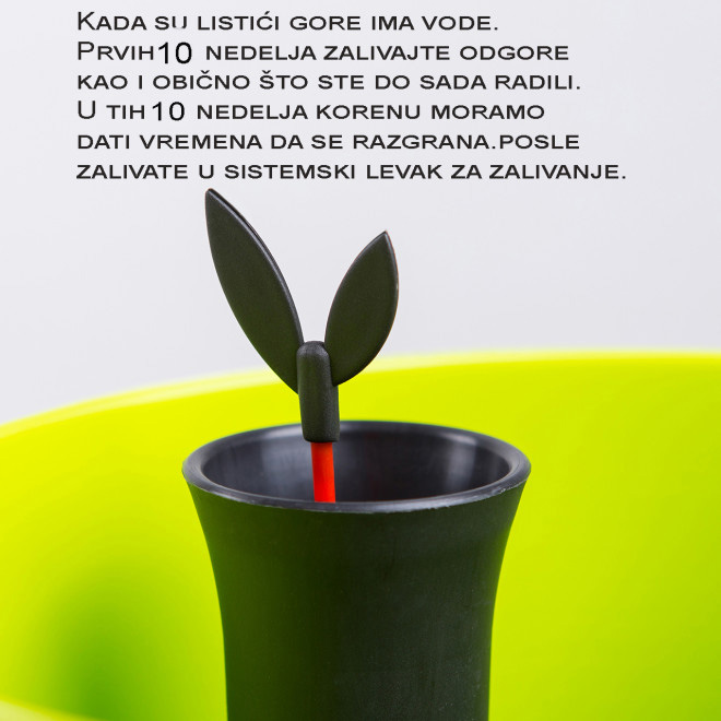 Saksija sa sistemom za zalivanje Diva 20 okrugla crna - detalj