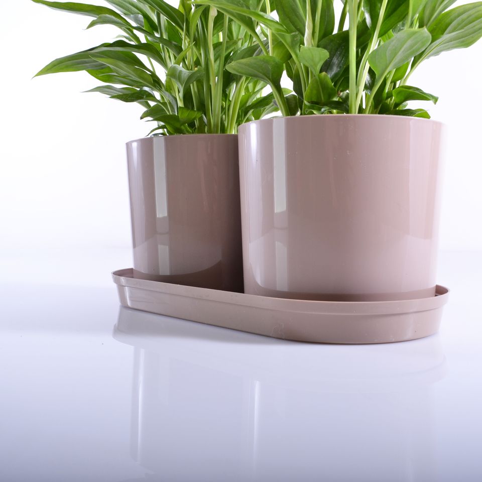 Komplet 2 saksije sa tacnom Drama Mix and PlaY bež - detalj