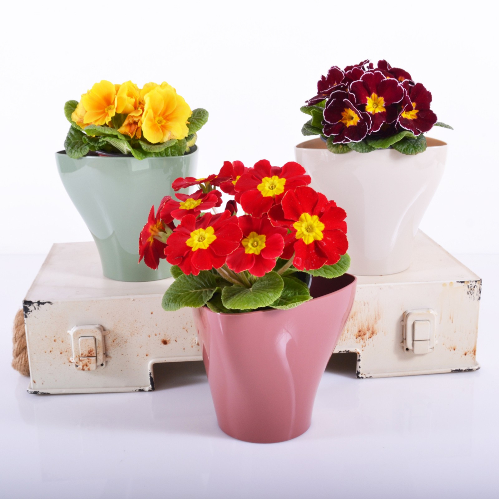 Saksija Hidrija 15 cm bela - detalj