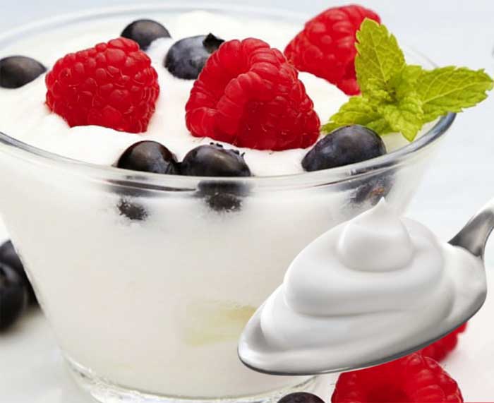 Aparat za pravljenje jogurta Adler AD4476 - detalj