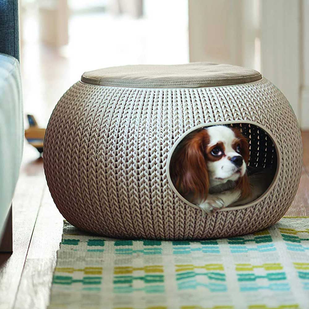 Kućica i Krevet Za Pse i Mačke Curver Ketter COZY - pogled 4