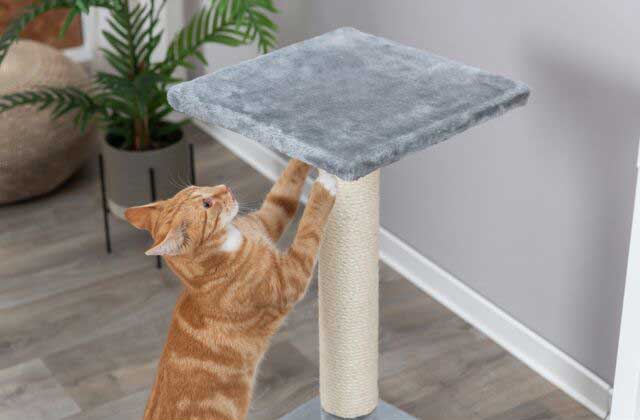 Trixie Stubna grebalica za mačku Baena grey 43371 - pogled 4