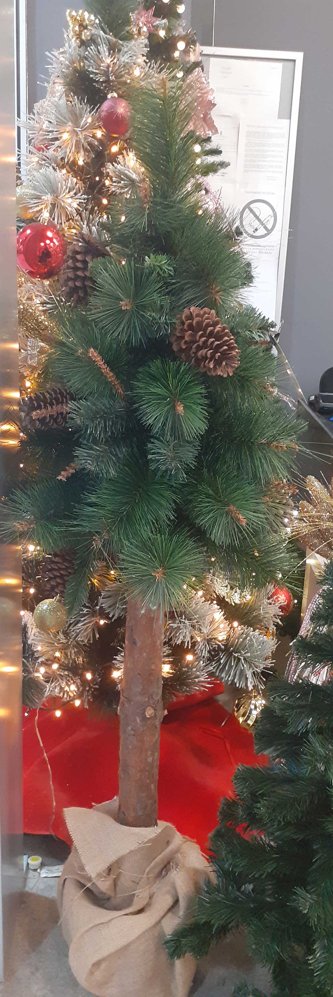 Novogodišnji Bor Eco Green Sa Šišarkama 145 cm - pogled 4