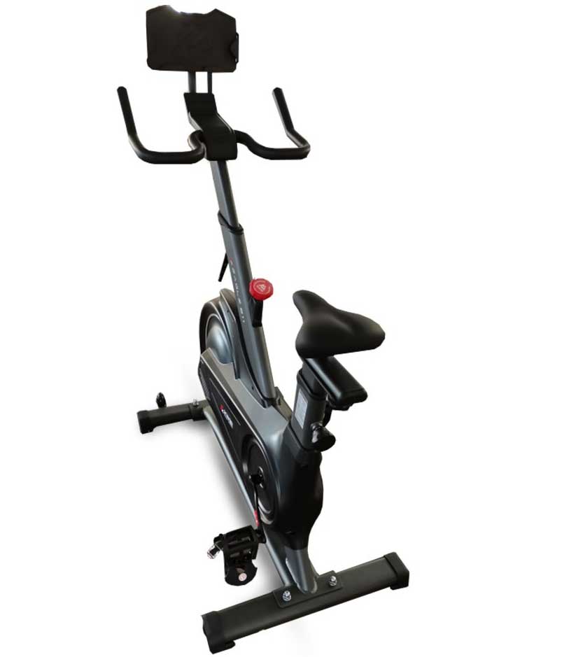 Sobni bicikl Xplorer Eagle 811 Black - pogled 4