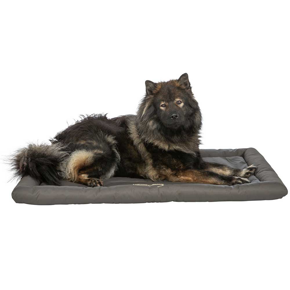 Putna prostirka za pse Samoa Classic 130x80cm Trixie 282672 - pogled 4