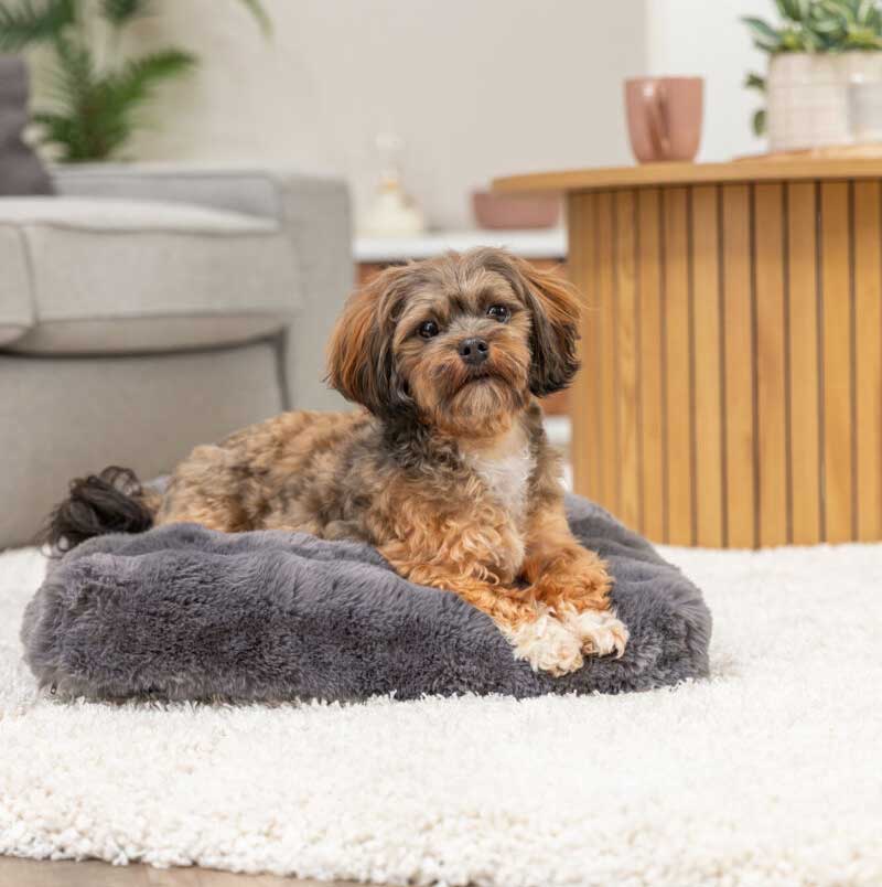 Jastuk za male pse 60x45cm Elli dark grey Trixie 374095 - pogled 4