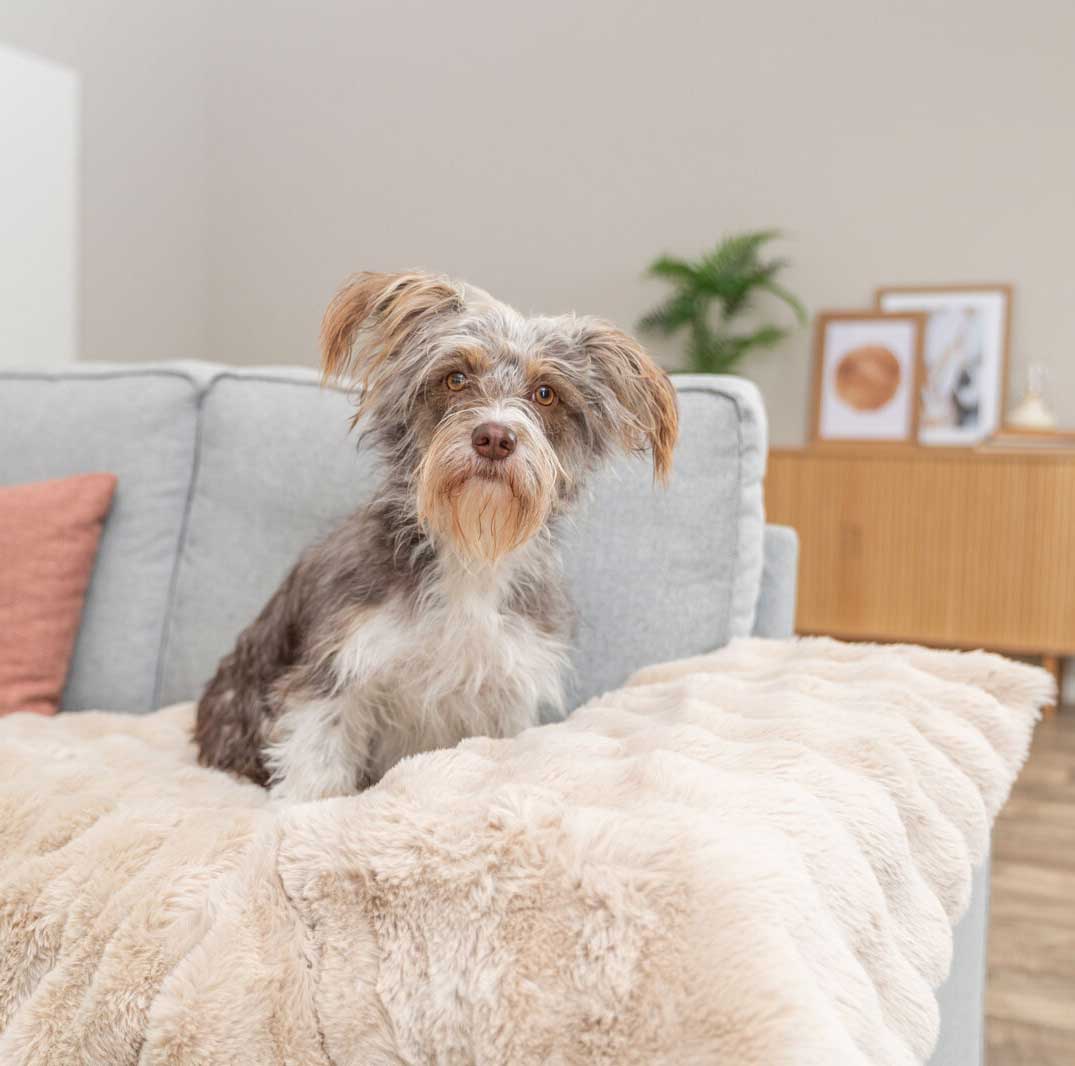 Prostirka za pse 90x70cm Elli sand Trixie 374101 - pogled 4