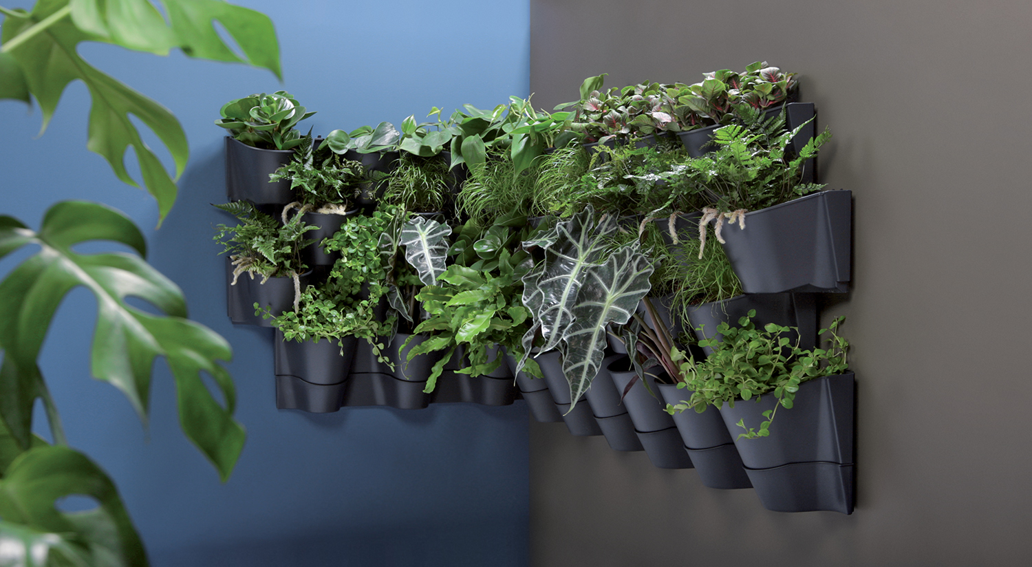 Kaskadni Set od 12 Saksija sa nosačem Prosperplast - pogled 4