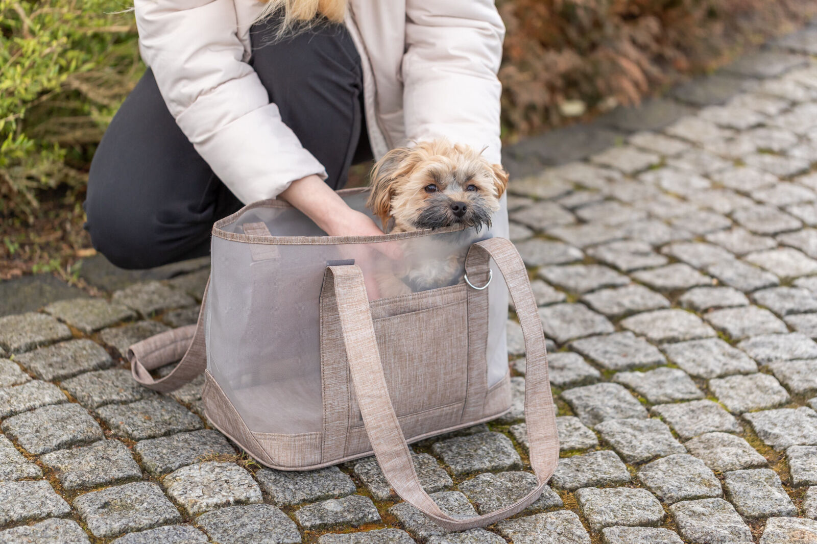 Torba za nošenje malih pasa do 6kg Mary TRIXIE 28910 - pogled 4