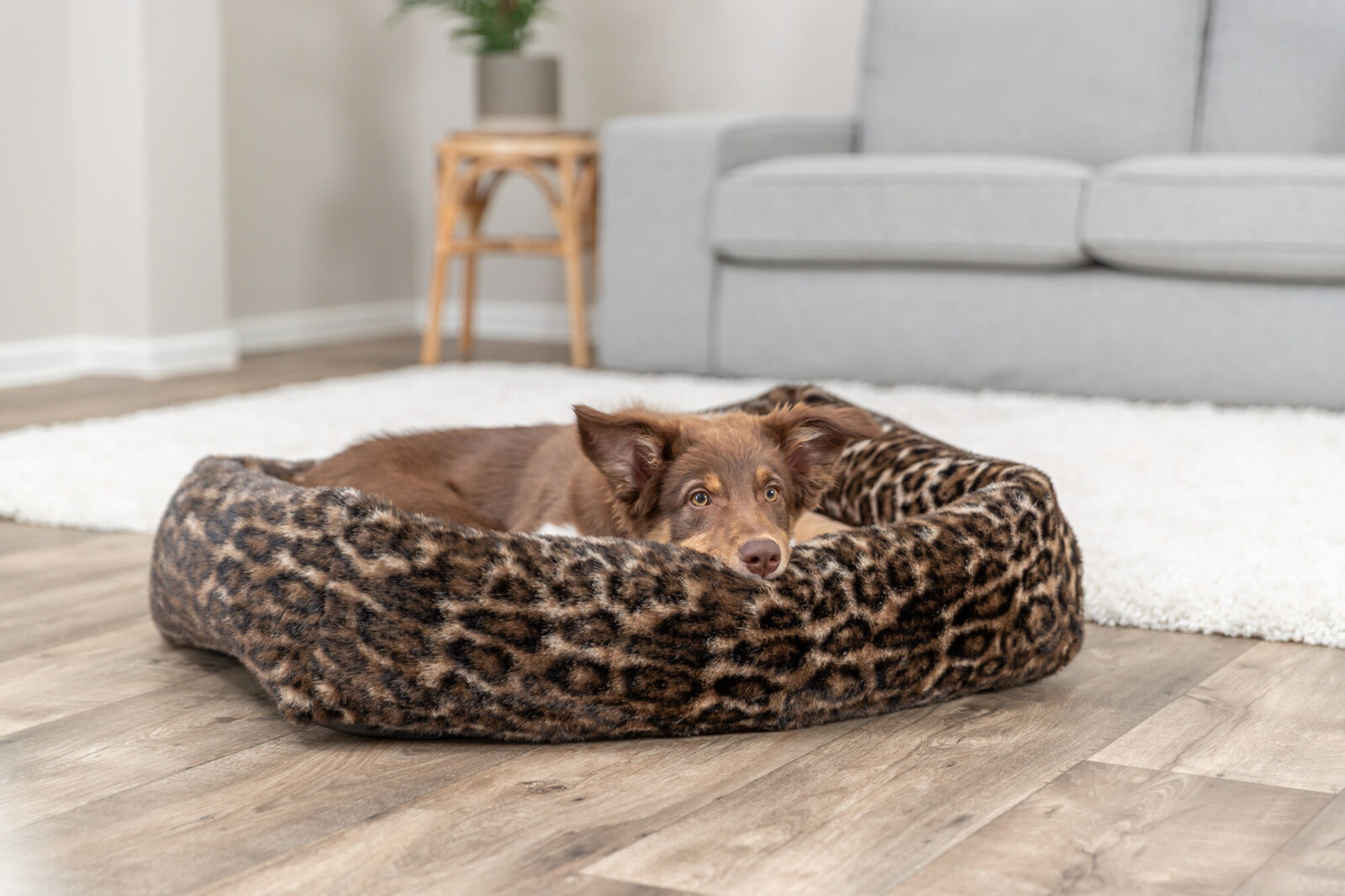 Krevet za pse 80x60cm Leo brown TRIXIE 374235 - pogled 4