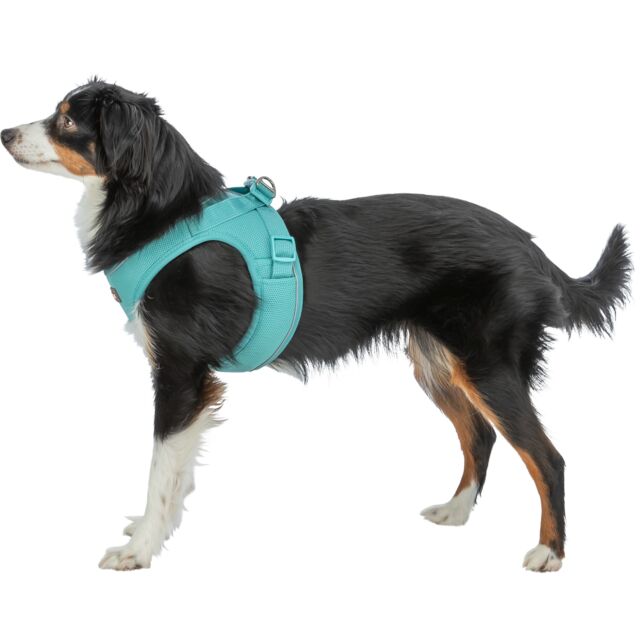 Pojas za šetnju za pse veličina XS Premium UrbanVest aqua TRIXIE 211228 - pogled 4