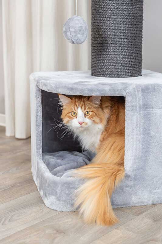 Grebalica sa kućicom i krevetom za mačke 112cm Ava II XXL Trixie 48120 - pogled 4