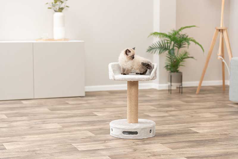 Stubna grebalica za mačke sa ležaljkom 54cm Dalia Trixie 48117 - pogled 4