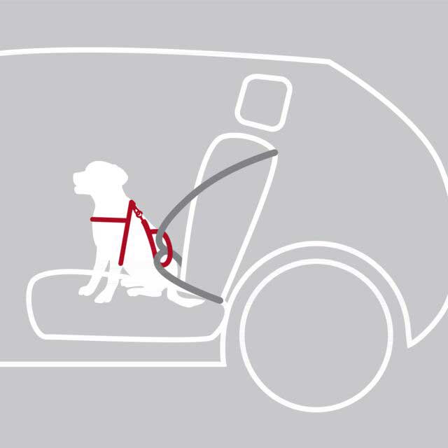 Uprtač am za pse veličina L Comfort Trixie 12857 - pogled 4