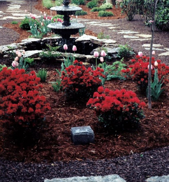 Dekorativna kora MALČ - Crvena - pogled 4