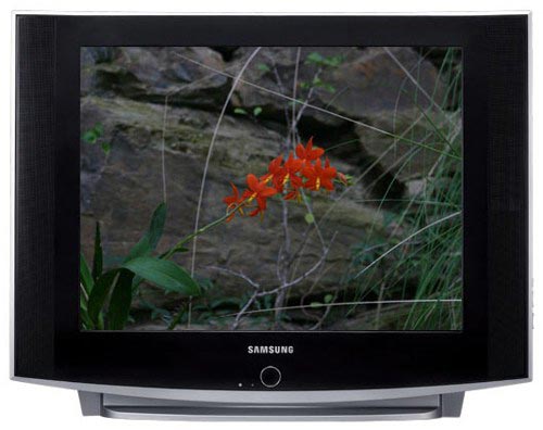 Samsung CW-29Z504N - 74 cm - pogled 4