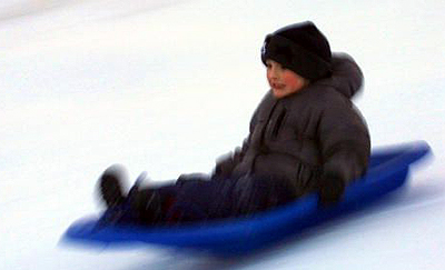 Bob (291520) - pogled 4