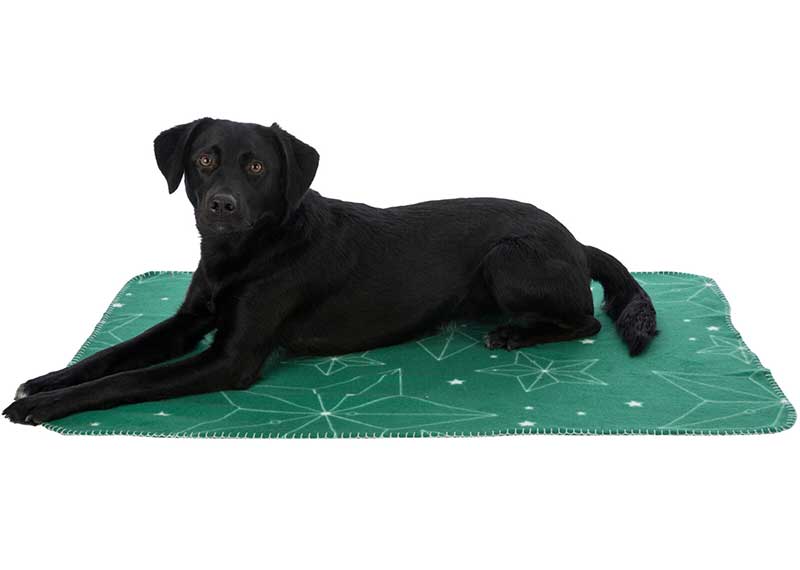 Novogodišnje ćebe za pse 150cm Luciano 924132 - pogled 4