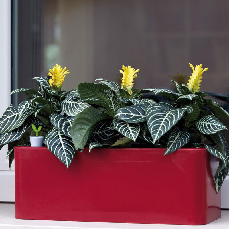 Ukrasna žardinjera Evolution Gloss Calypso White - pogled 4