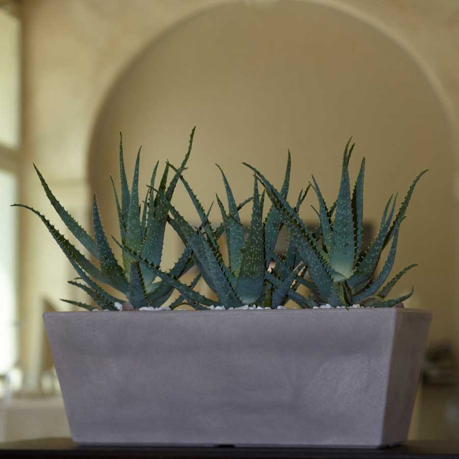 Žardinjera za bilje Evolution Matt Mysia 50cm Black - pogled 4