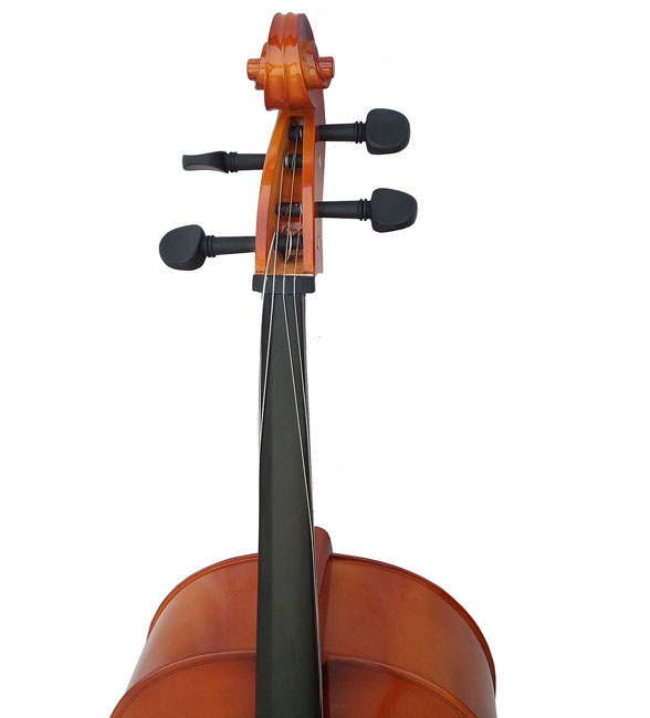 Violončelo Moller 3/4-4/2 1129 - pogled 4