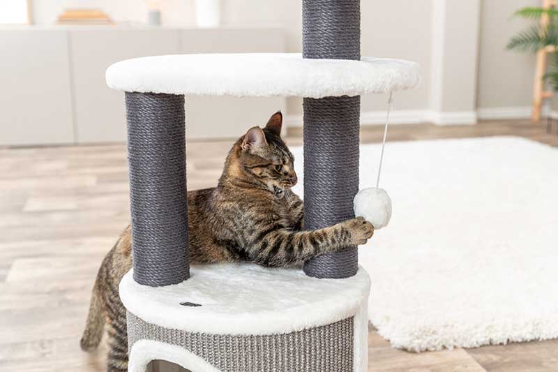 Grebalica igraonica za mačke 85cm Marco Trixie 44469 - pogled 4