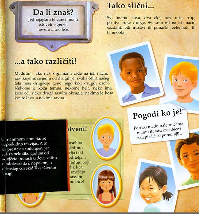 LaRousse Čovekovo telo, Valeri Vido - pogled 4