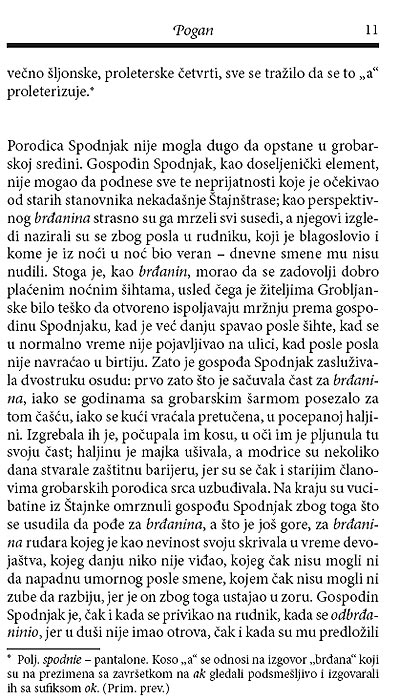 Pogan, Vojćeh Kučok - pogled 4